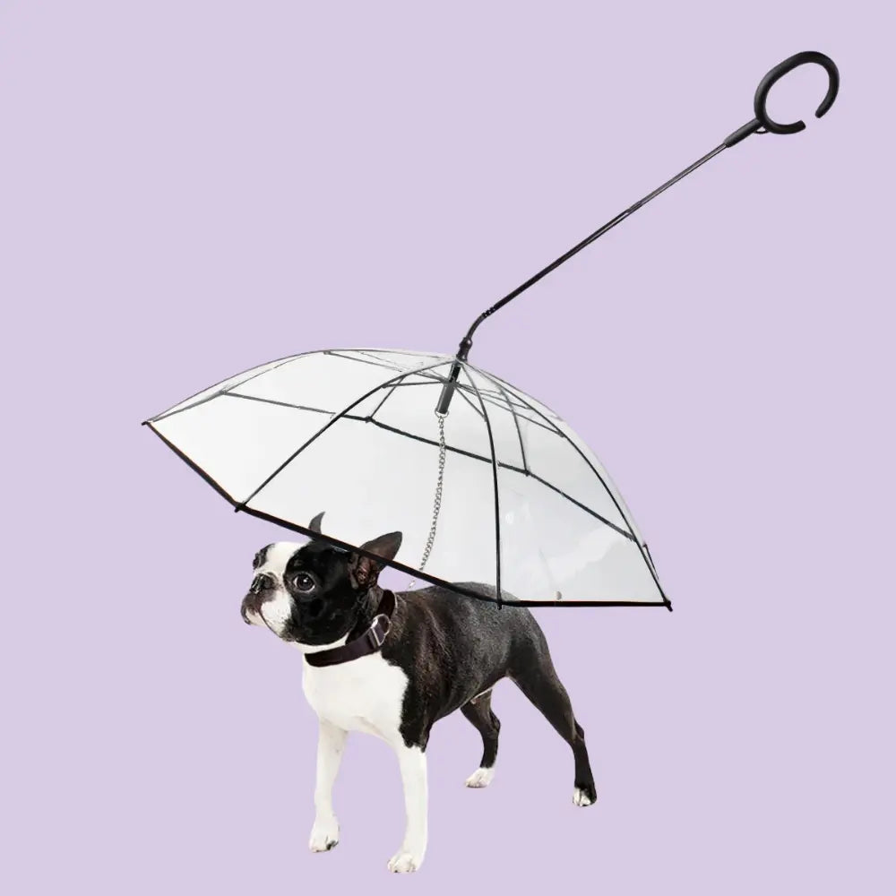 dog umbrella harness Top Store