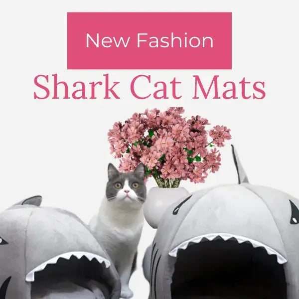 Shark Bed for Cats & Dogs Mein Shop 